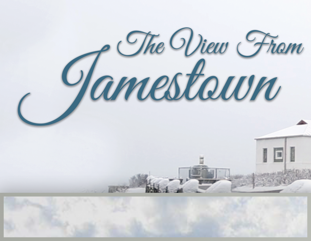 Winter The View from Jamestown banner - The Chemical Company | Chemical Distributor