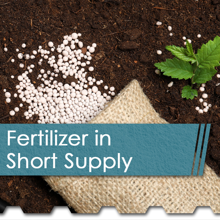 Fertilizer Short Supply Thumb - The Chemical Company