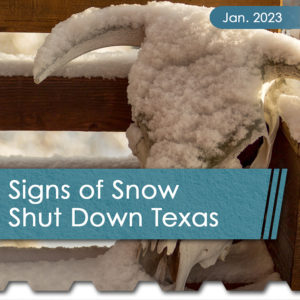 signs of snow texas thumb - The Chemical Company