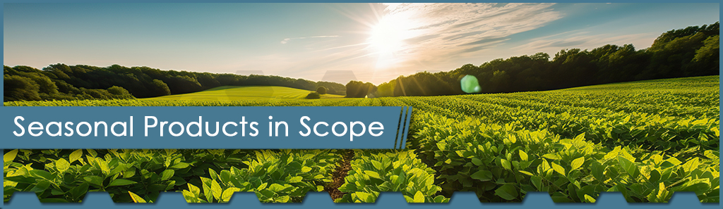 Seasonal Products in Scope Horizontal - The Chemical Company