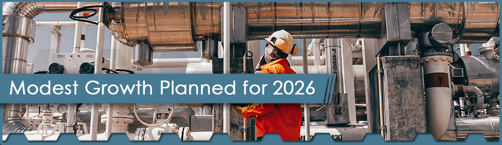 Modest Growth Horizontal - The Chemical Company