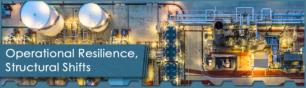 Operational Resilience Horizontal - The Chemical Company
