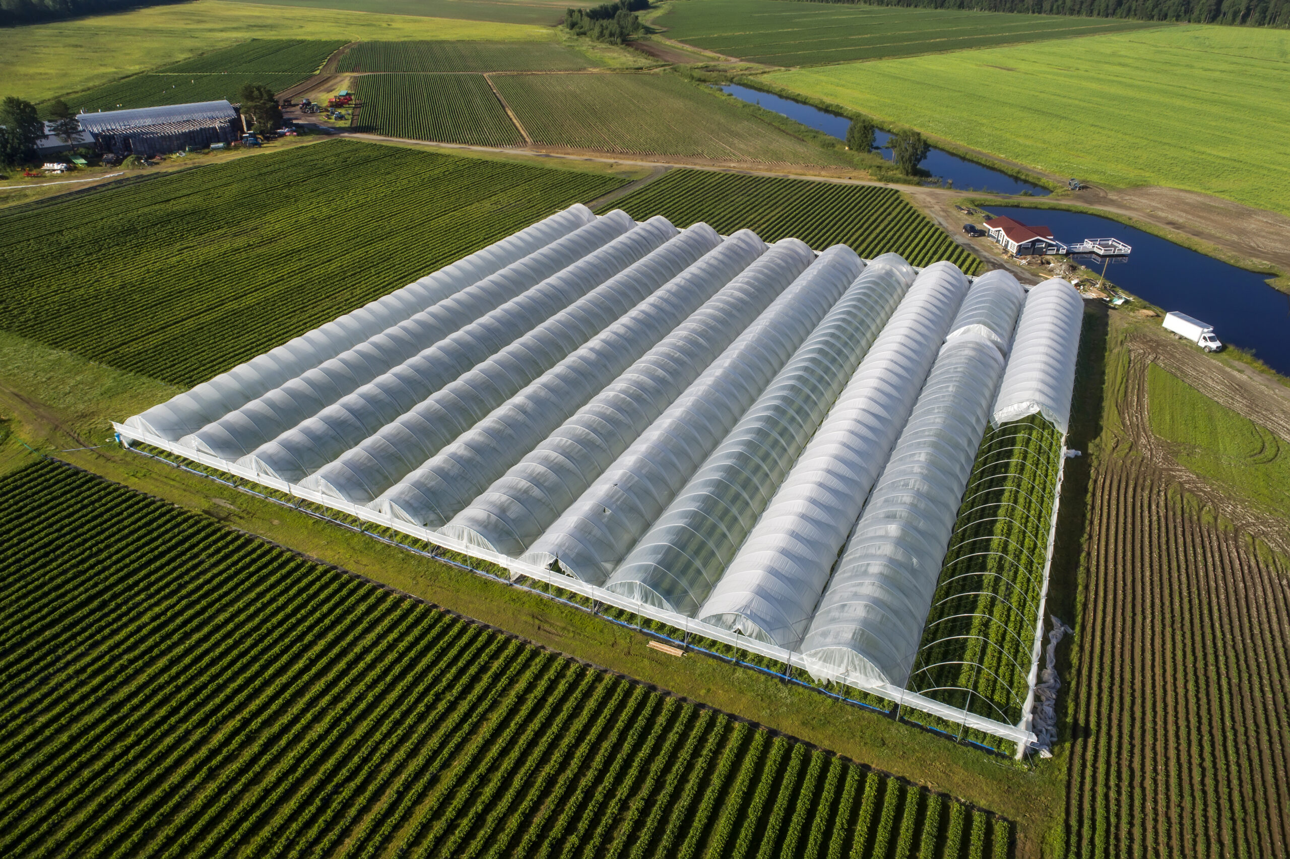 aerial view of industrial farm