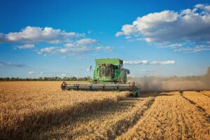 Harvesting combine in the field